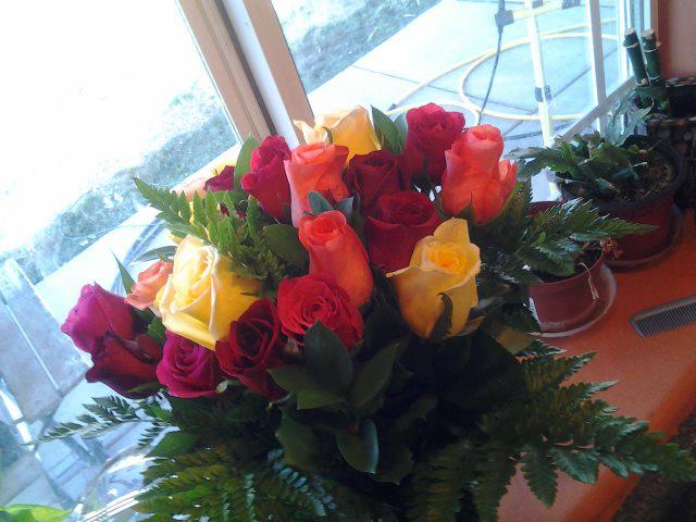 480009_518611811515411_43665122_n