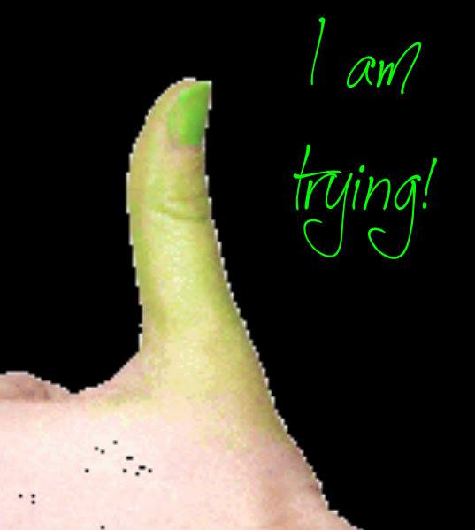 58885_10202457423013228_746609376_n