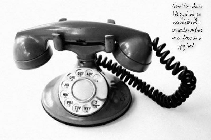 734413_10201989499435431_196971413_n