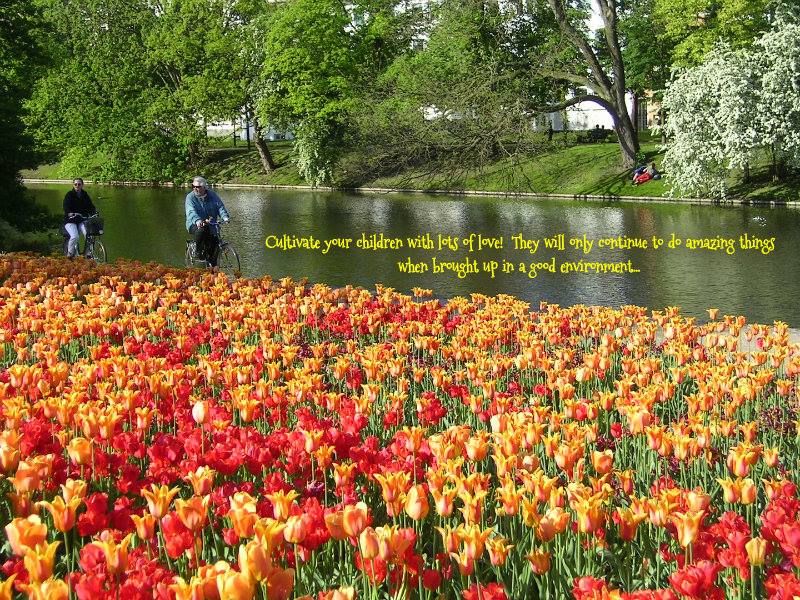 997000_10202202719805807_2074580233_n