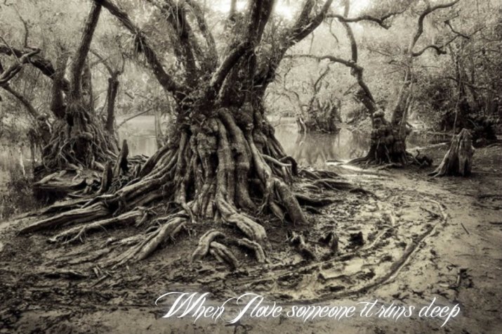 pizap.com14136537110371