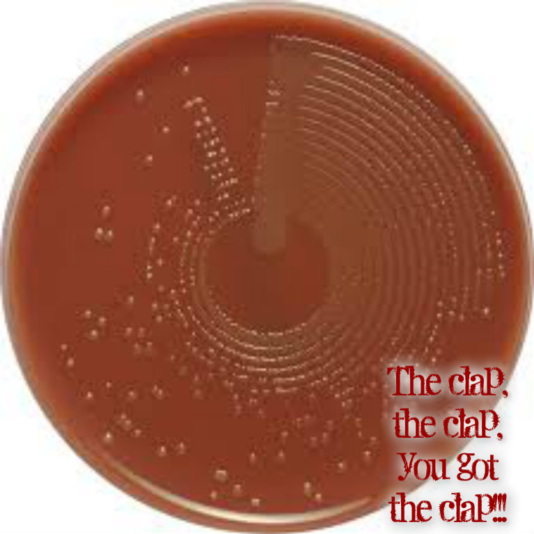 pizap.com14138651855109