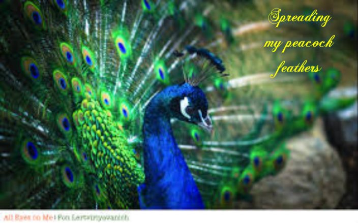 pizap.com141391576697521