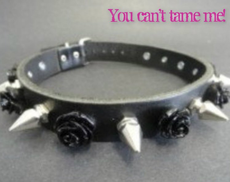 pizap.com141408459711766