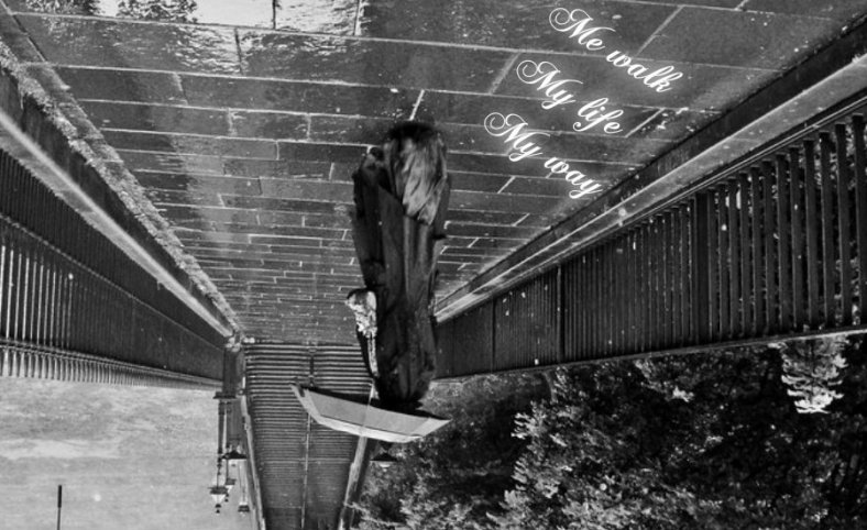 pizap.com141418190810742