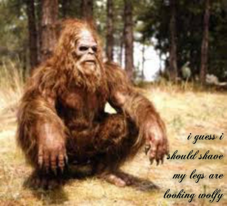 pizap.com14144299682784