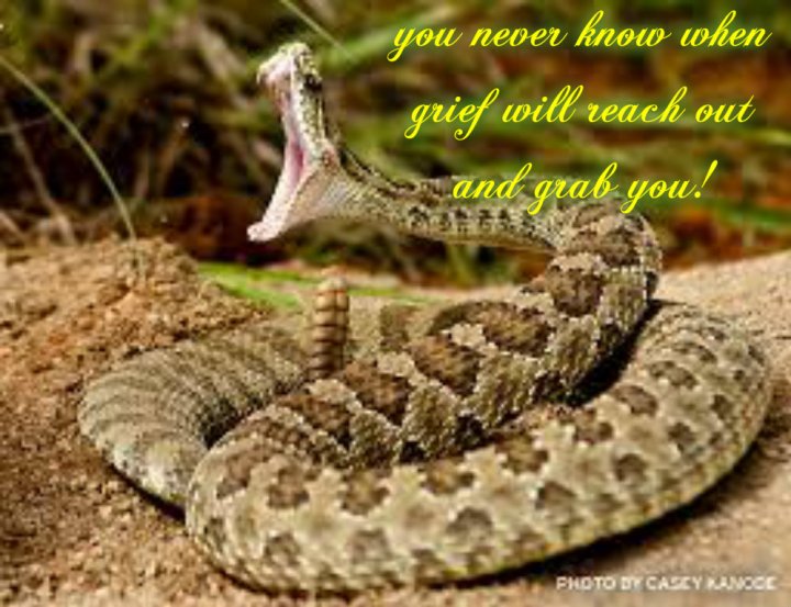 pizap.com141454712676330