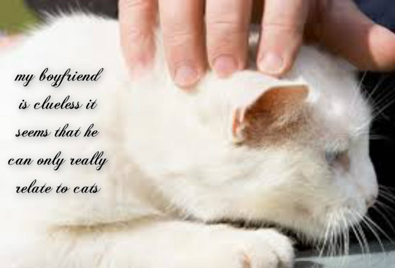 pizap.com141470286749320