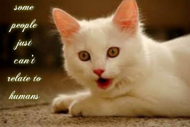 pizap.com141470301323121