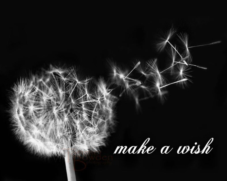 pizap.com141479486663617