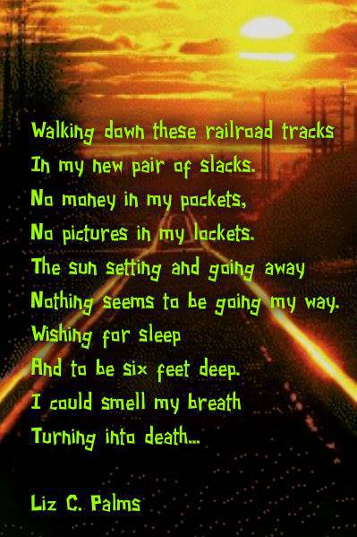 10394618_10204358631822260_820007644599068786_n