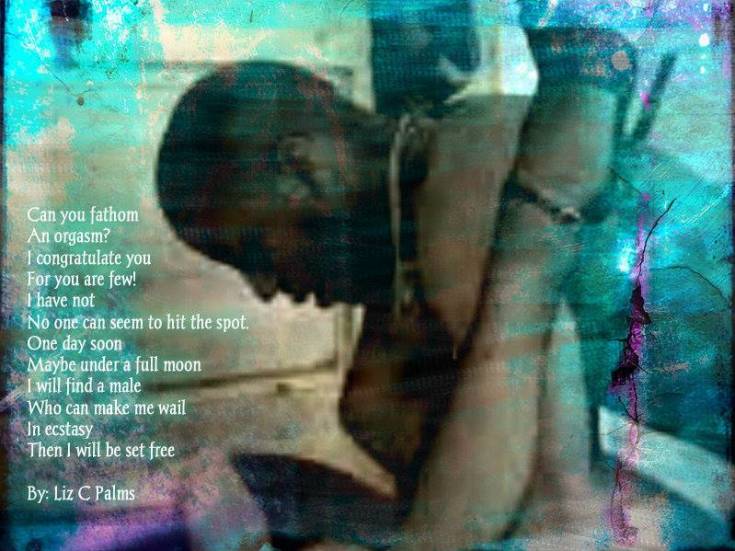 10690294_10204359888253670_8535649593936062925_n