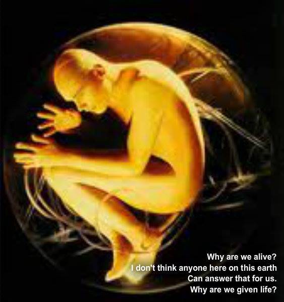 10710862_10204359144035065_6536214883006683096_n