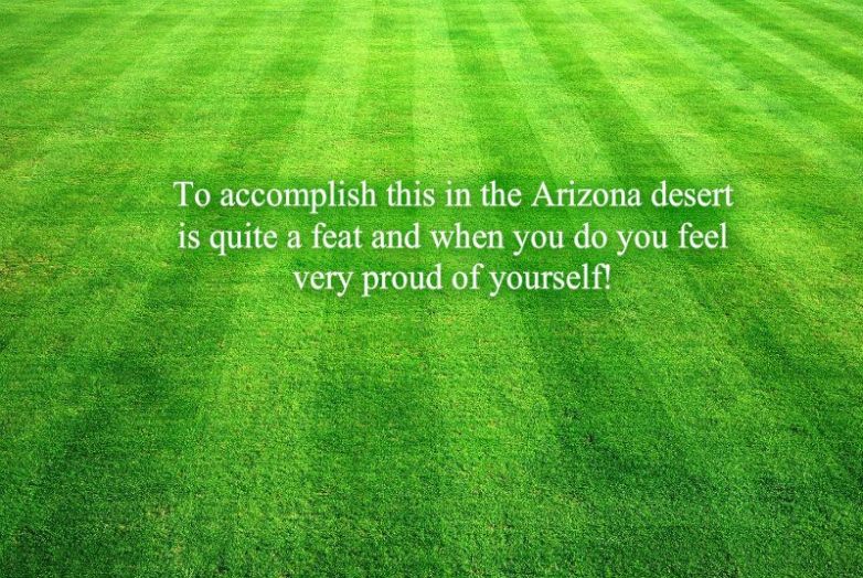 1238203_10201569387612898_543124347_n