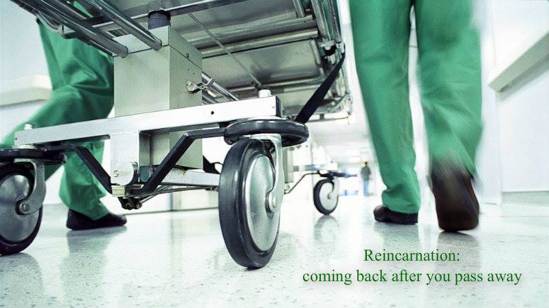 1278180_10201565093105538_257268309_n