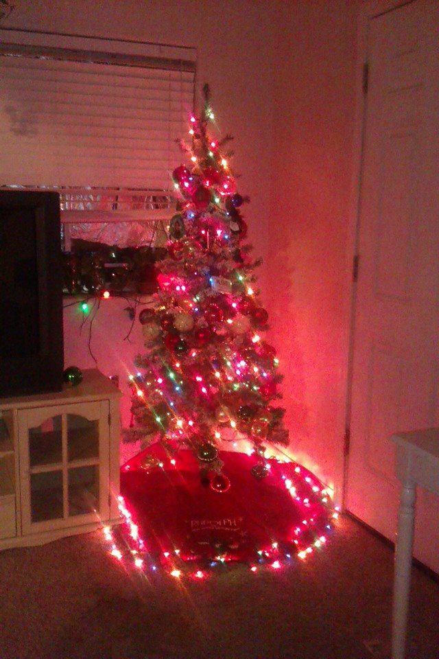 1511193_10204644716654202_6160648547042727942_n