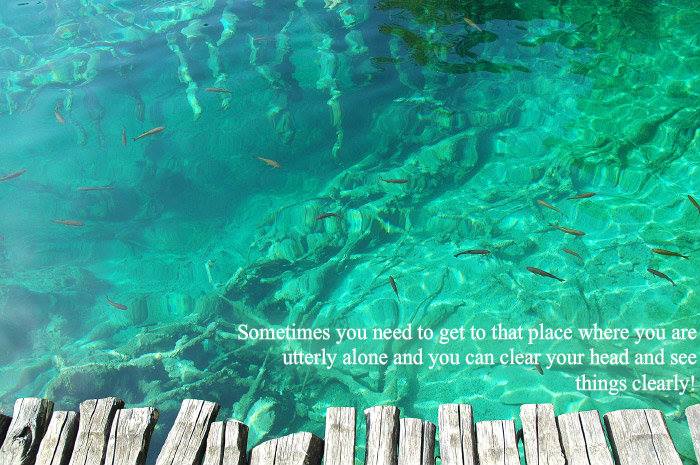 524525_10201570989892954_1396457270_n