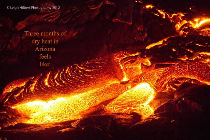 548386_10201563072295019_763192204_n