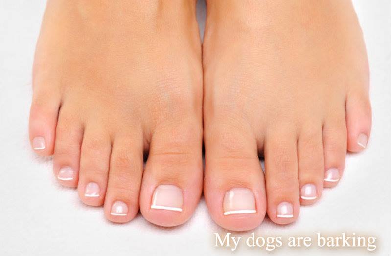 954790_10201572559812201_1416025480_n