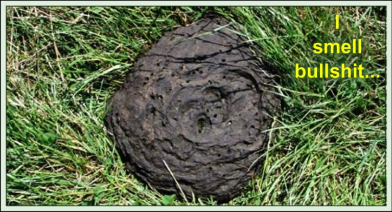 pizap.com10.0204621627926826481382114133629