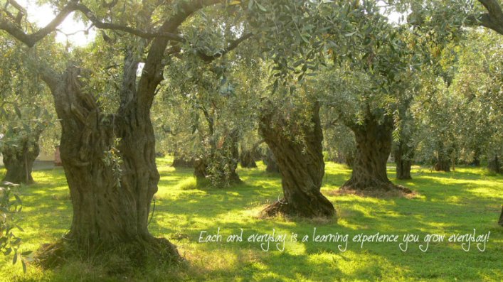 pizap.com10.174304606392979621381434252709