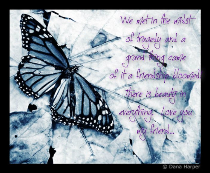 pizap.com10.33232329227030281381423952654