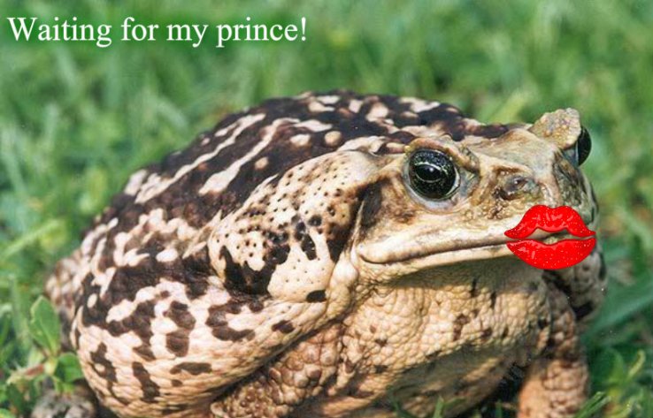 pizap.com10.36418886668980121381090462387