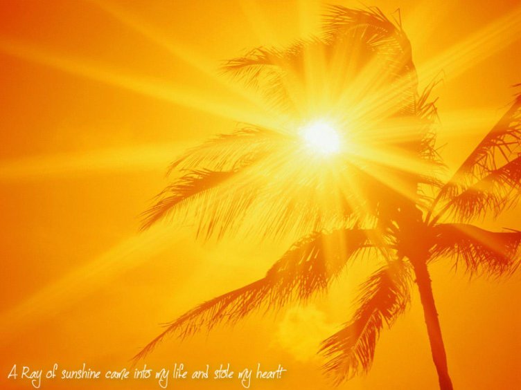 pizap.com10.59718536492437121381676779228