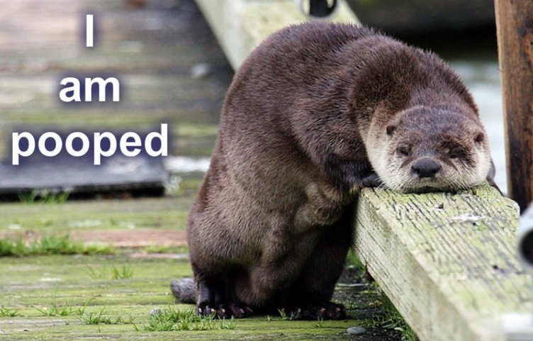 pizap.com10.60045049432665111379809109782