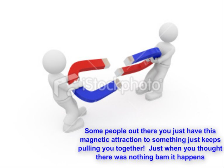 pizap.com10.61004438111558561381688040268