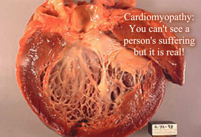 pizap.com10.61702504847198721379703440031