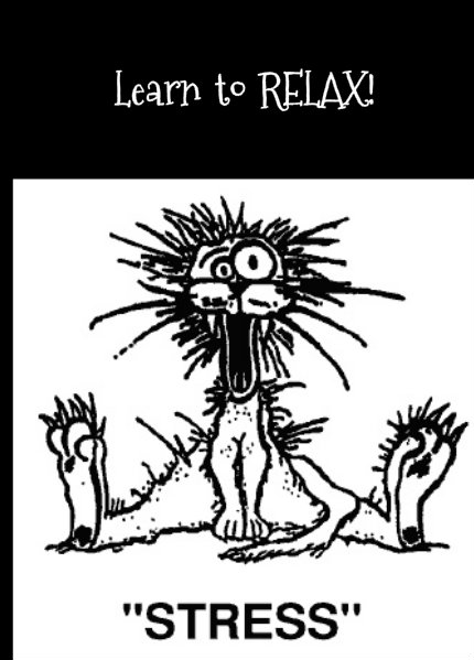 pizap.com10.78506886679679161381099748155