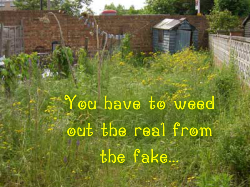 pizap.com10.7945213215425611382114027244