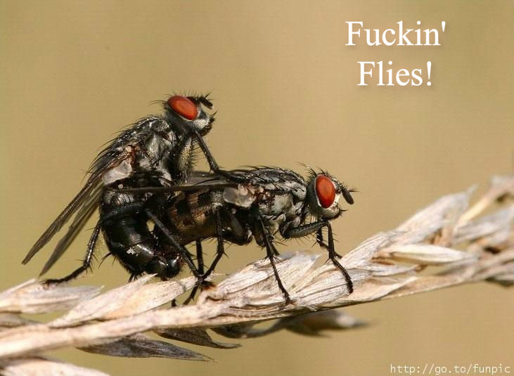 pizap.com10.89022779185324911379719369626