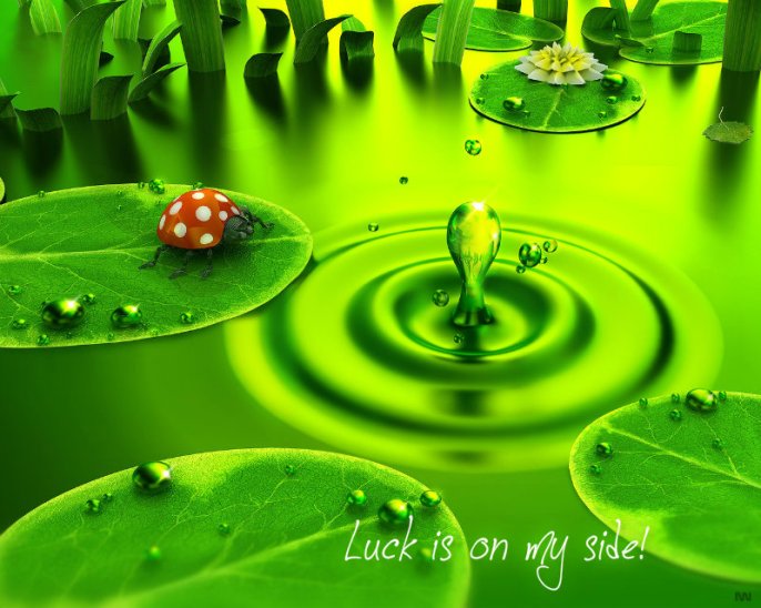 pizap.com10.95375810610130431381105949408