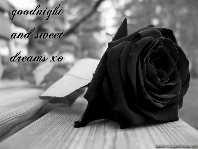 pizap.com14149496125877