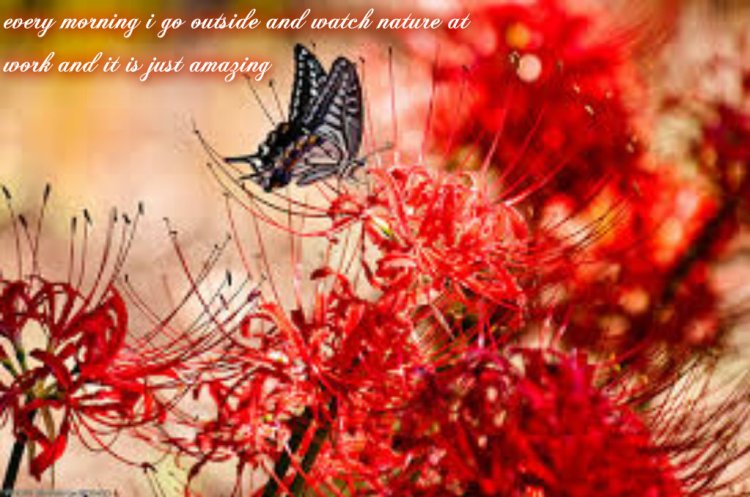 pizap.com14151183736913