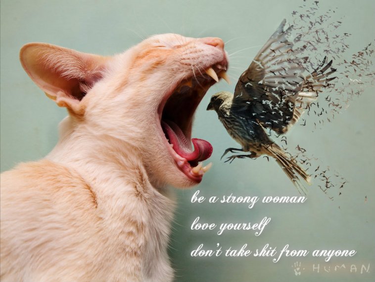 pizap.com141538030753222