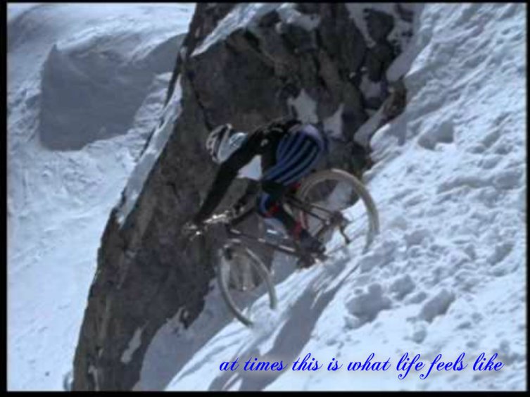 pizap.com141538202642530