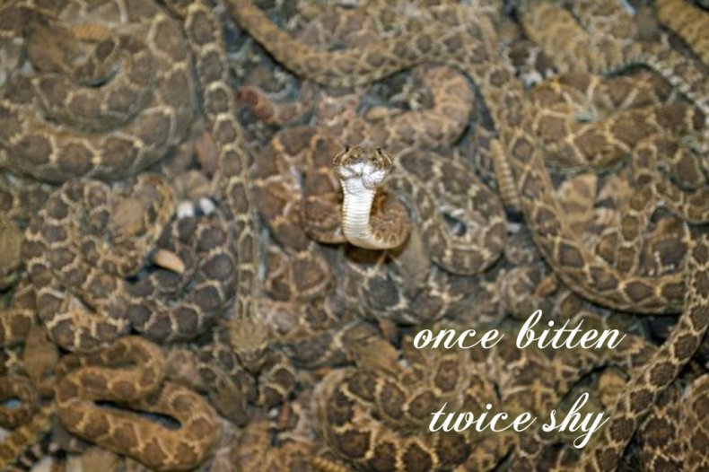 pizap.com14154944371128