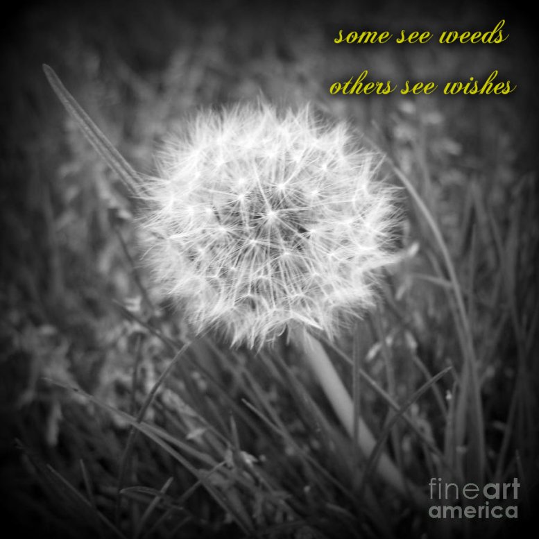 pizap.com141549688527824