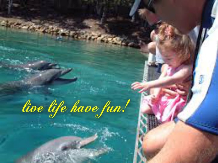 pizap.com141549757329728