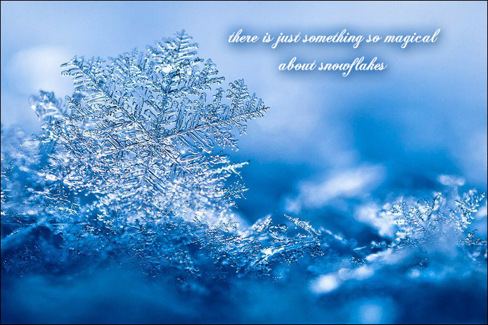 pizap.com141551328811359