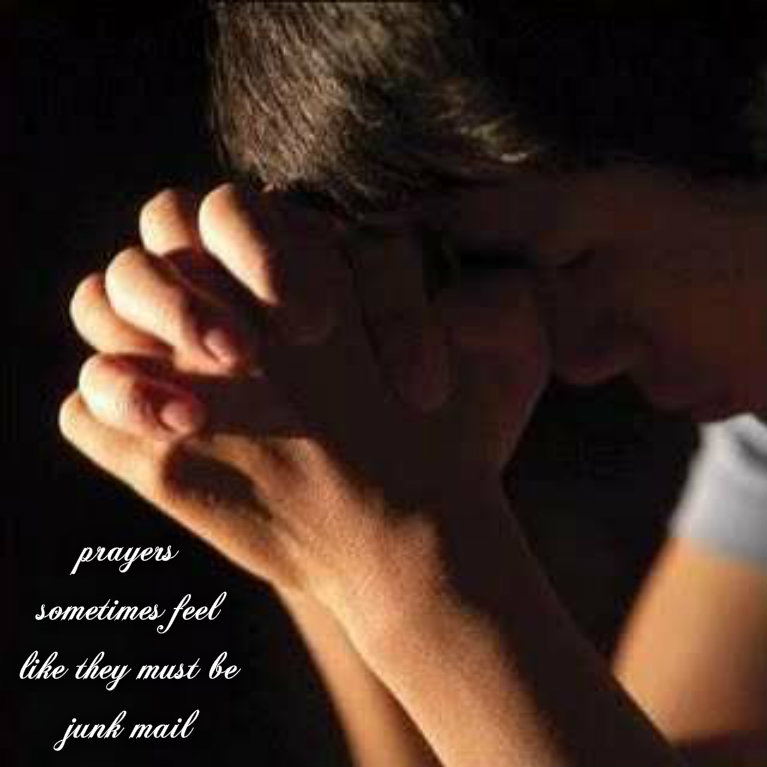 pizap.com141559711441510