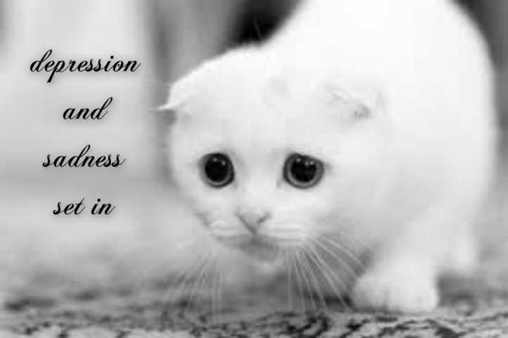 pizap.com14156797592814