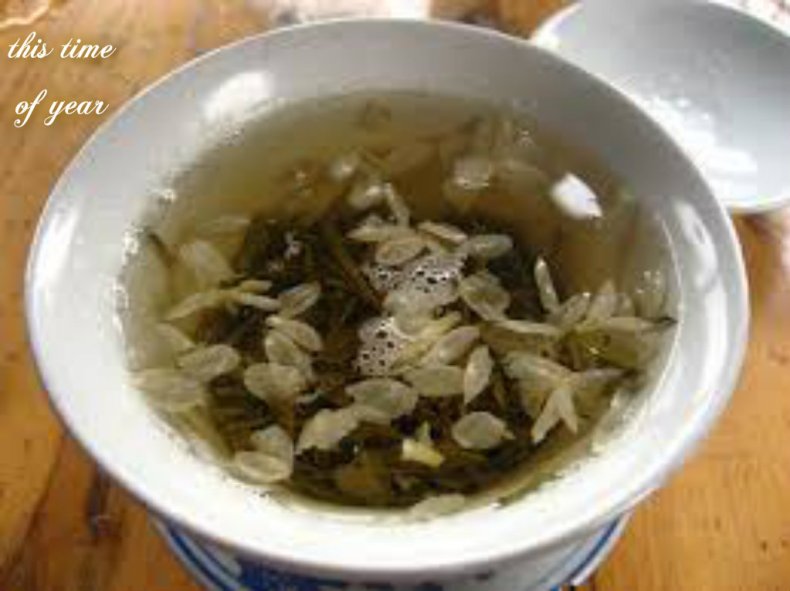 pizap.com141602811127911