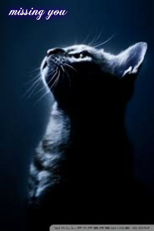 pizap.com141612158343114