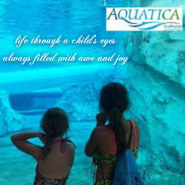 pizap.com141612486603329