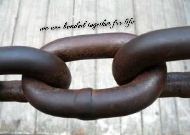 pizap.com141616766029355