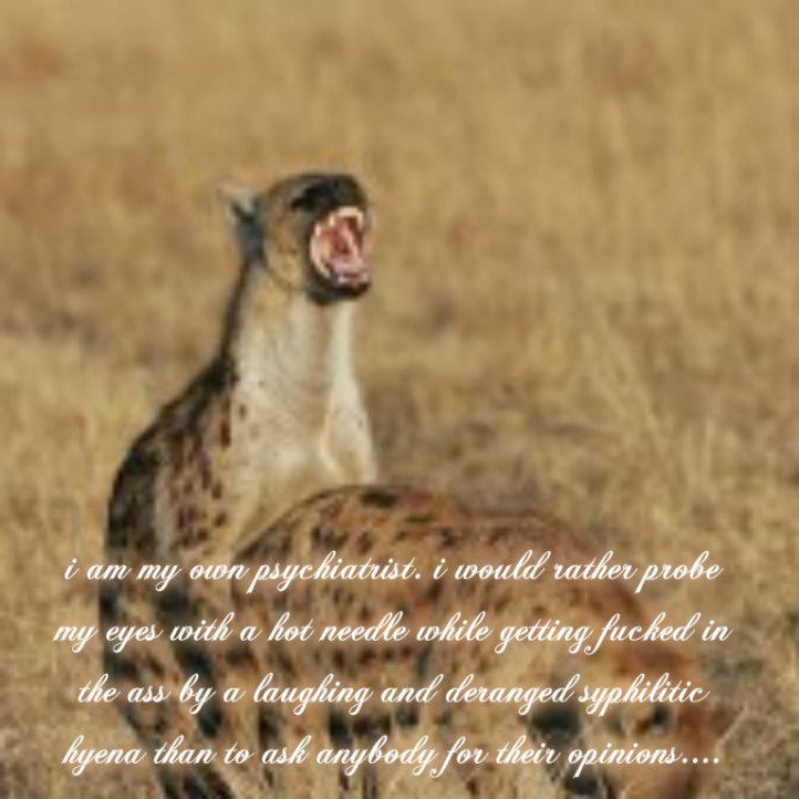 pizap.com14162048588167